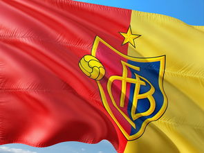 乐鱼体育APP官方下载-弗赖堡与巴塞尔历史交锋回顾，欧联对决前瞻，弗赖堡对阵莱比锡